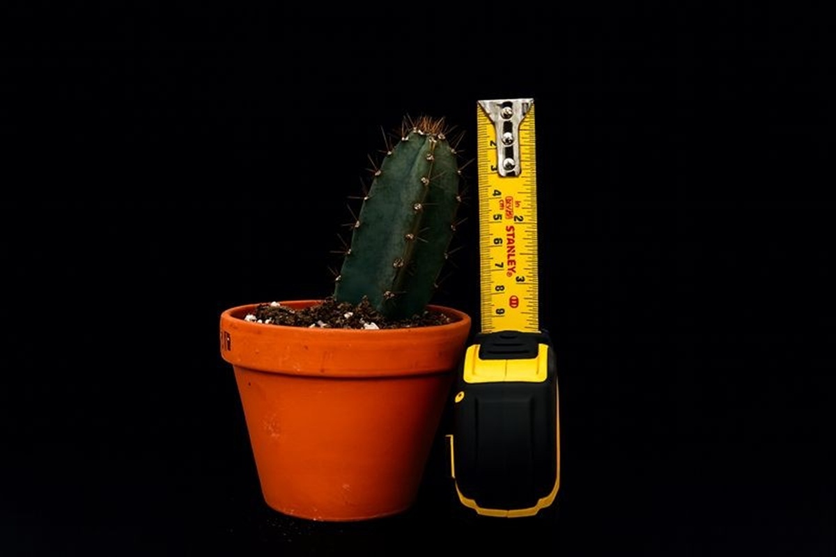 Quais são as alternativas não cirúrgicas para aumentar o diâmetro peniano?