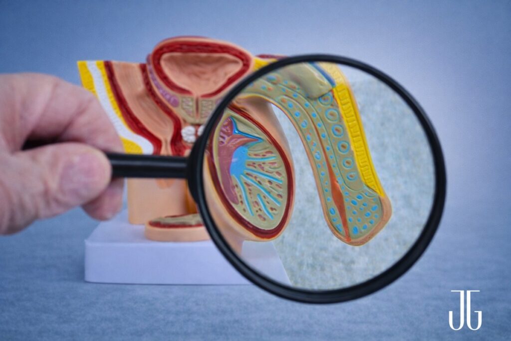 faloplastia aumento peniano